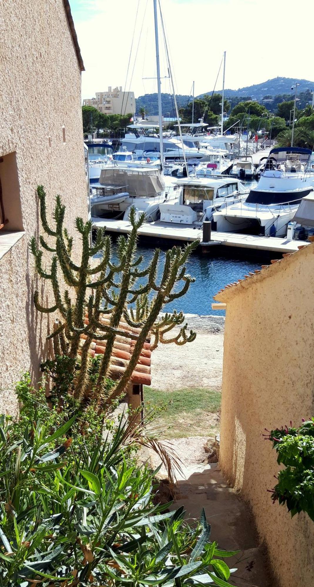 T2 Terrasse, Bormes Les Mimosas La Faviere, 5 Pers, 5 Mn A Pieds Des Plages Et Commerces Kültér fotó